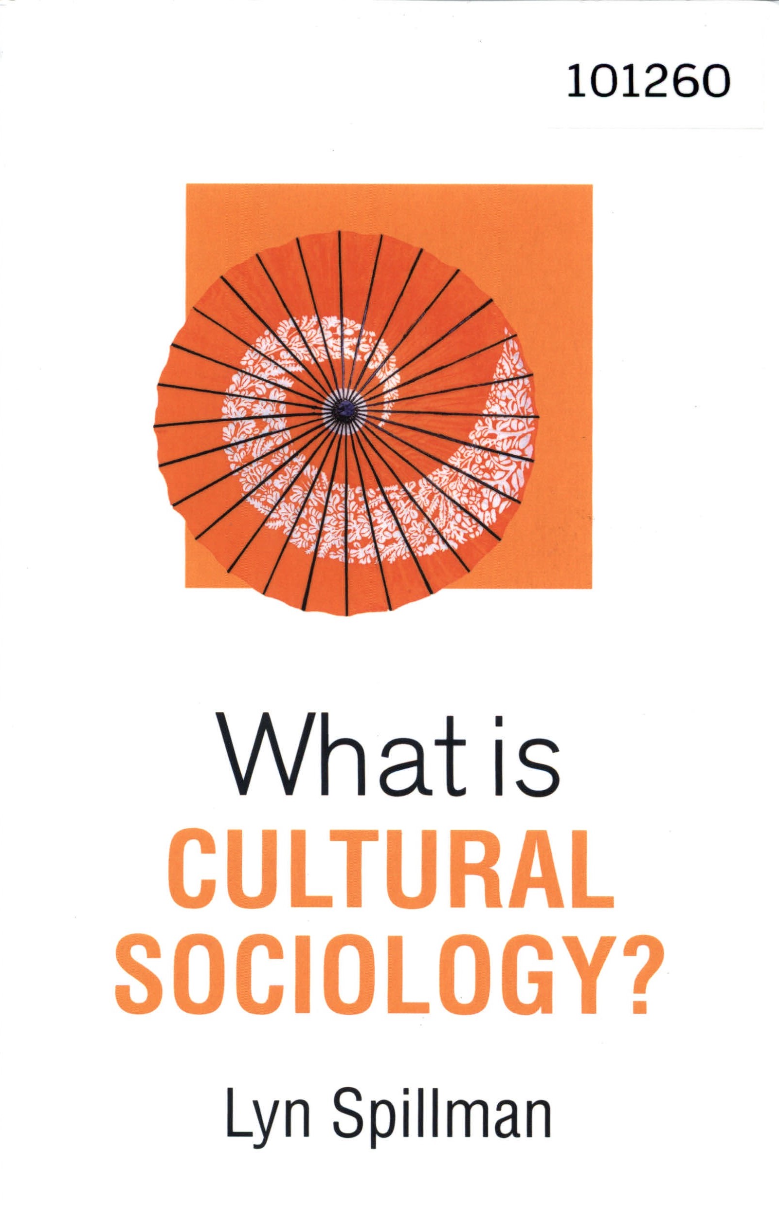 What is Cultural Sociology?